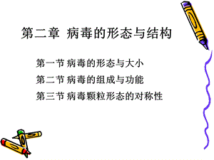 病毒学第二章病毒的形态与结构.ppt