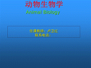 动物生物学绪论卢.ppt