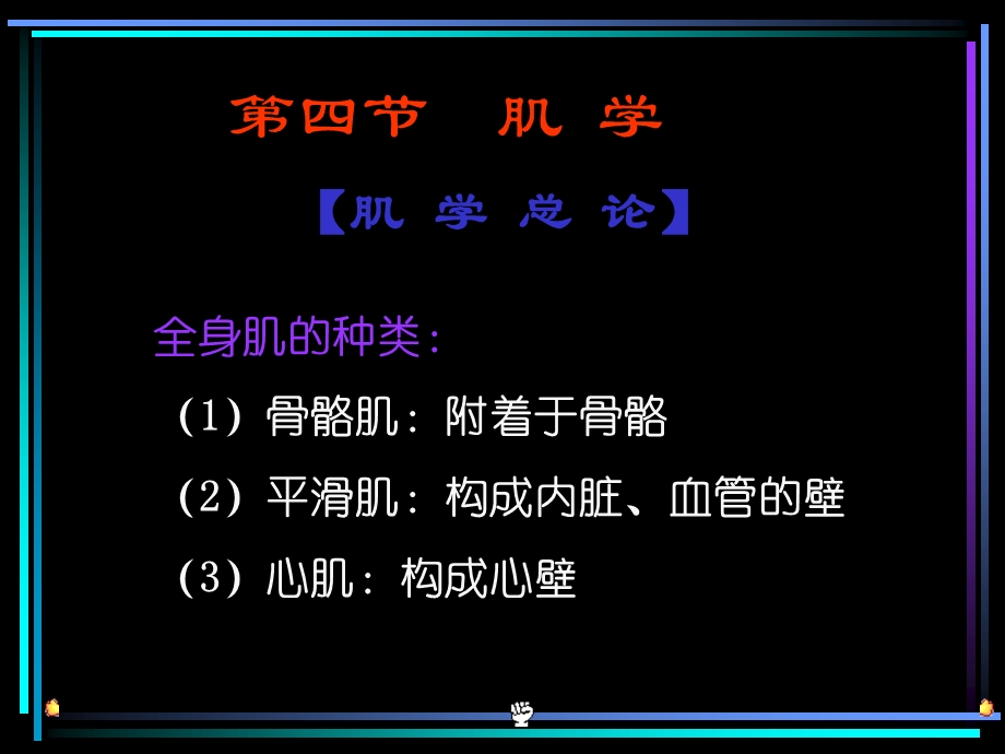 本科运动系肌学.ppt_第3页