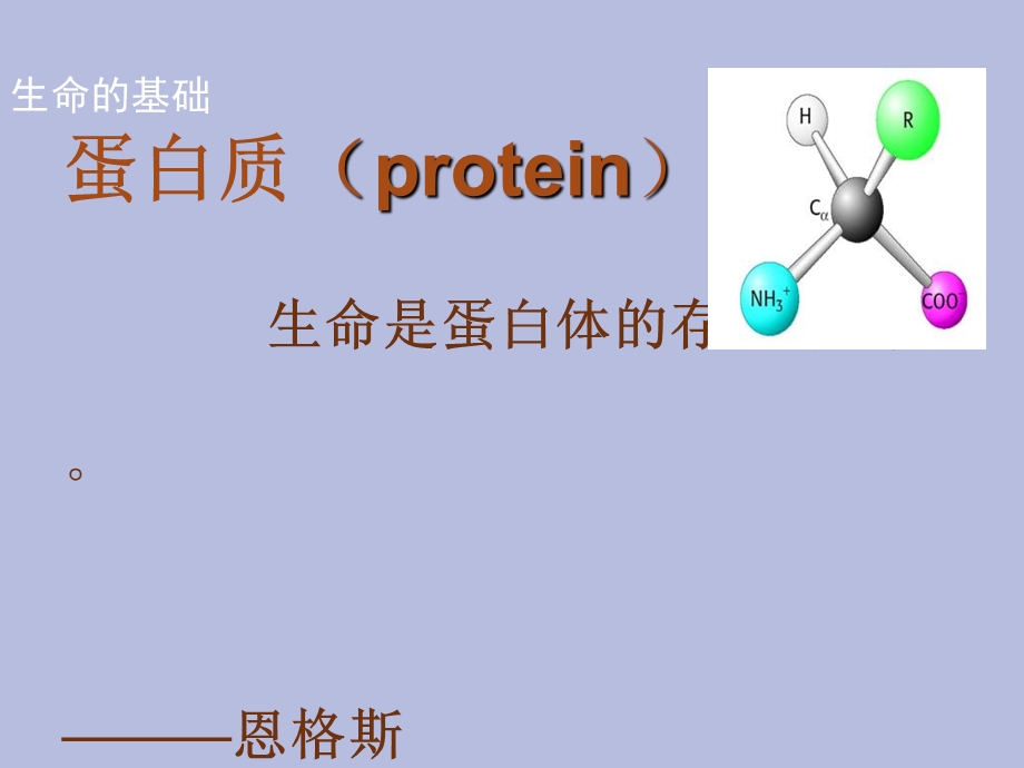 大豆肽蛋白粉.ppt_第2页