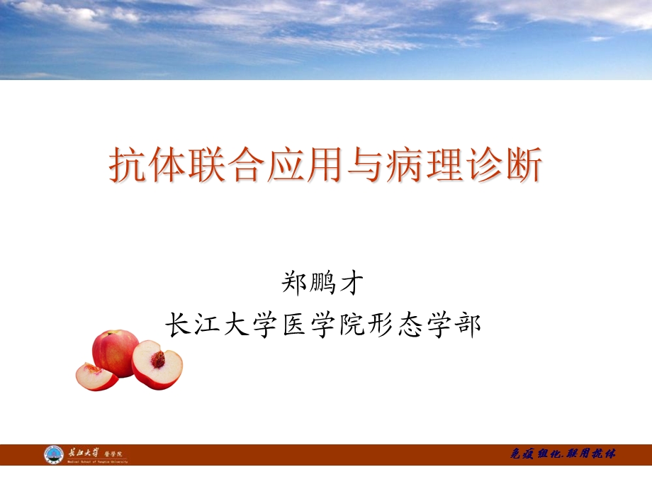 抗体联合应用与病理诊断.ppt_第1页