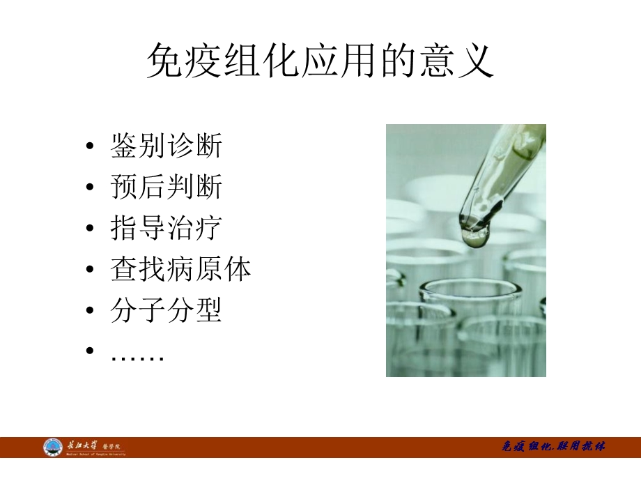 抗体联合应用与病理诊断.ppt_第2页