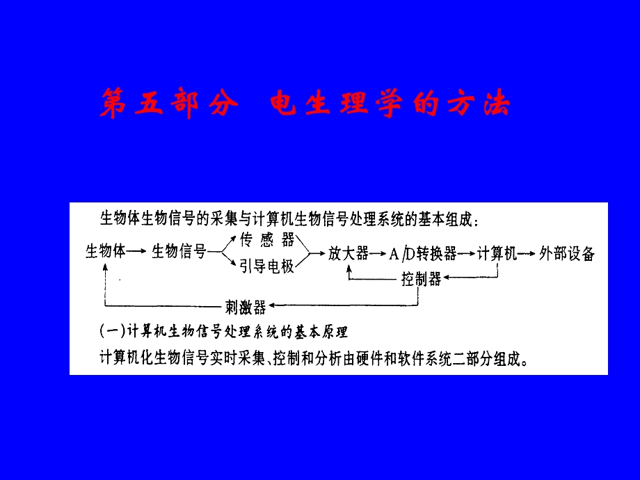 电生理方法与技术.ppt_第2页