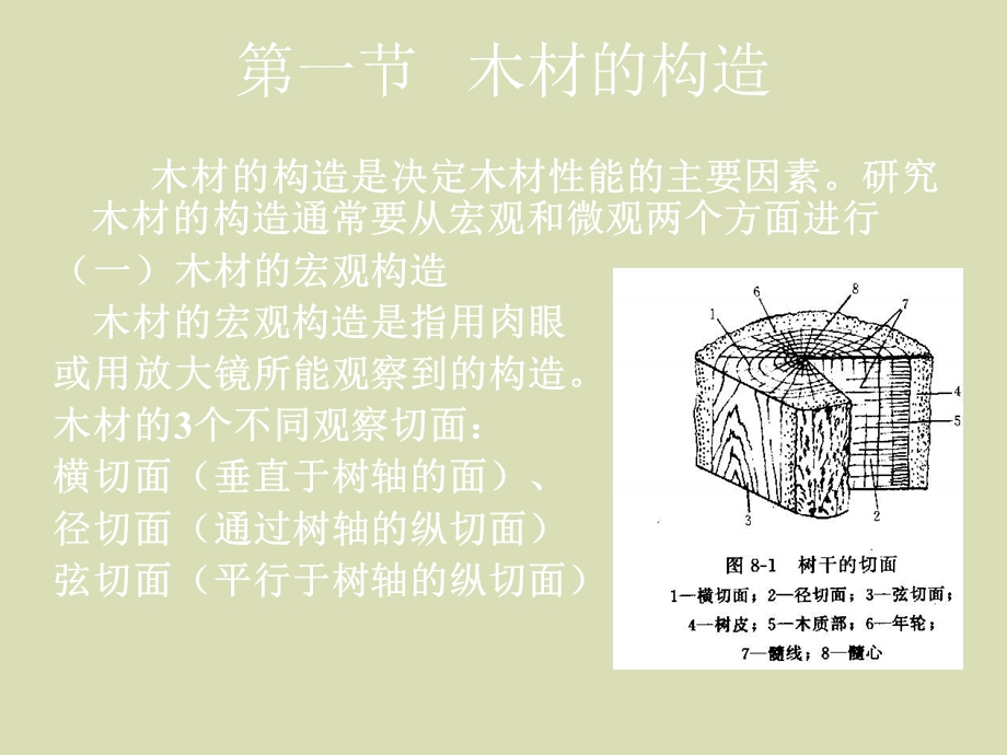 木材基本知识.ppt_第2页