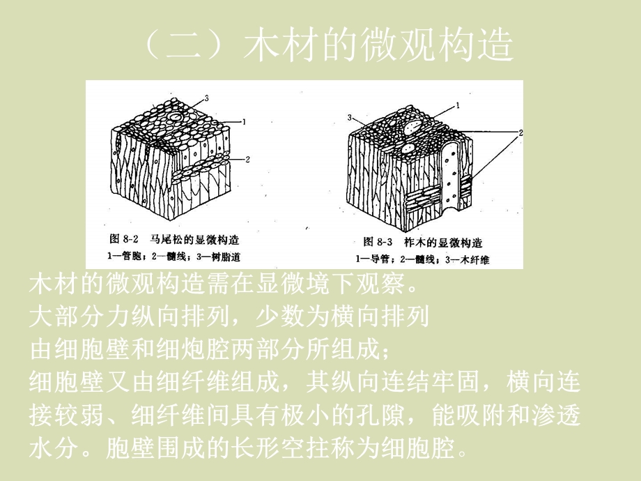 木材基本知识.ppt_第3页