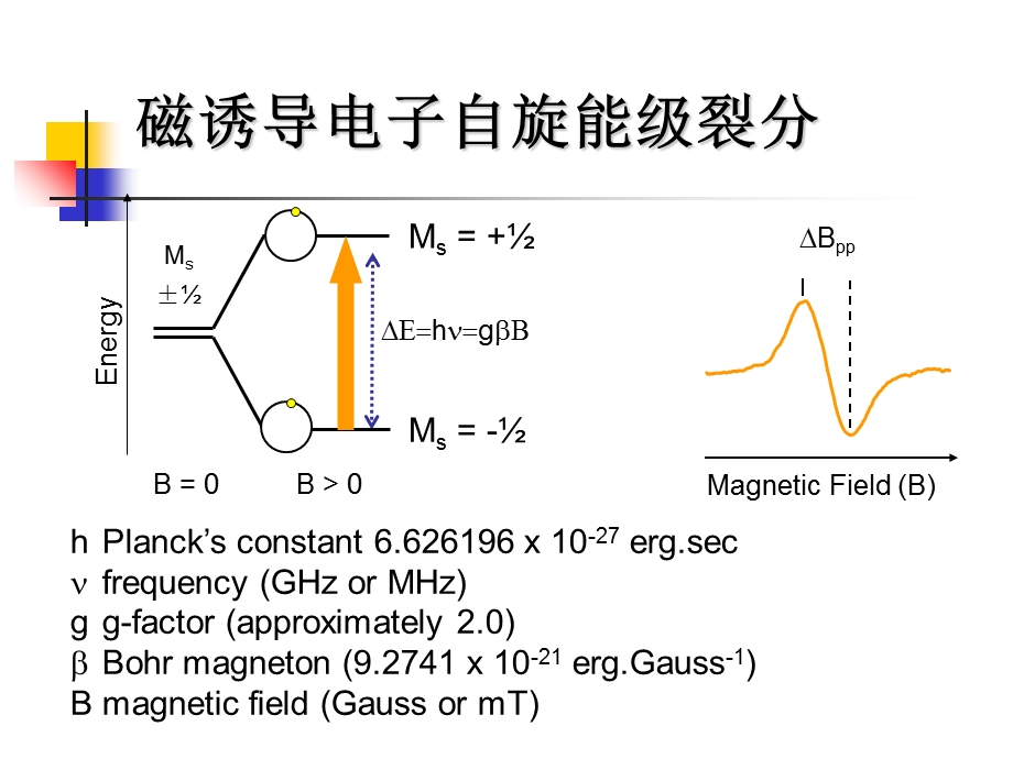 电子顺磁共振(ESR)教程.ppt_第2页