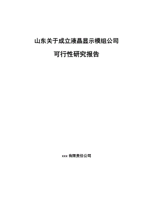 山东关于成立液晶显示模组公司可行性研究报告.docx