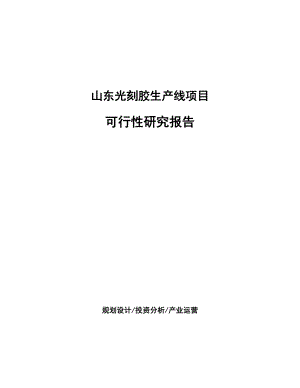 山东光刻胶生产线项目可行性研究报告.docx