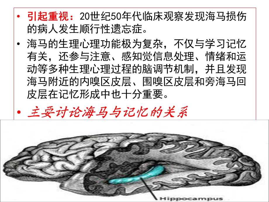 海马的记忆功能ppt.ppt_第3页