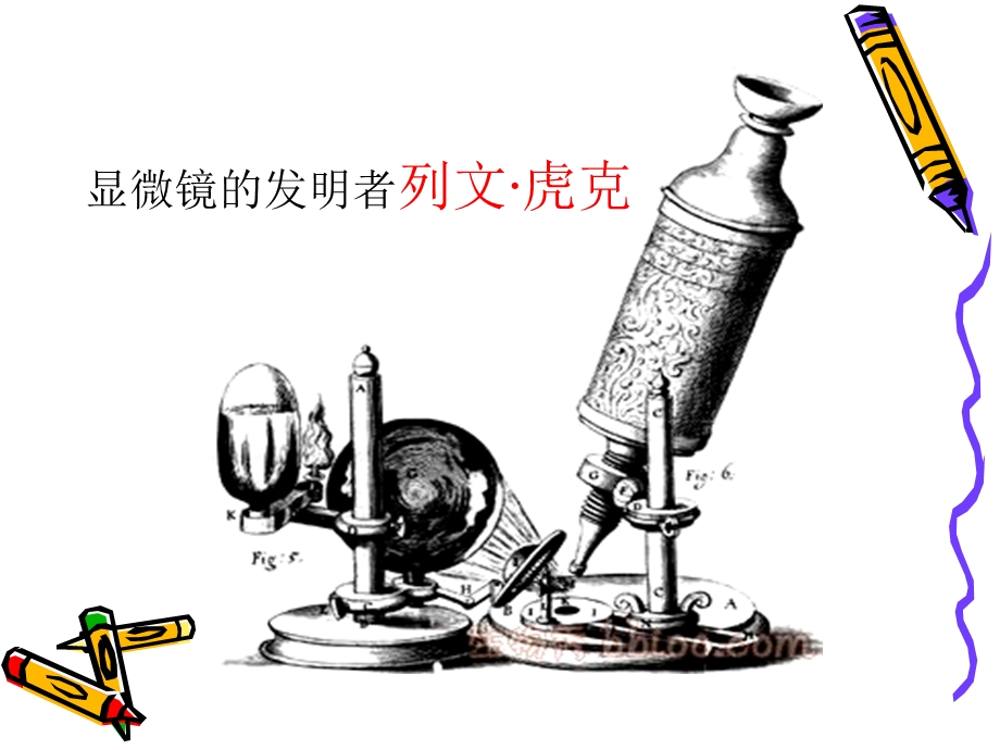 微镜观察身边的生命.ppt_第3页