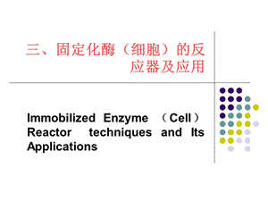 固定化酶反应器.ppt