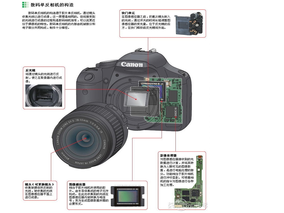 摄影：单反相机构造.ppt_第1页