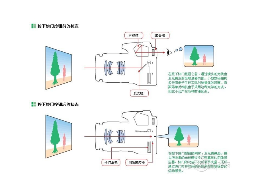 摄影：单反相机构造.ppt_第2页