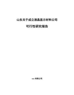 山东关于成立液晶显示材料公司可行性研究报告.docx