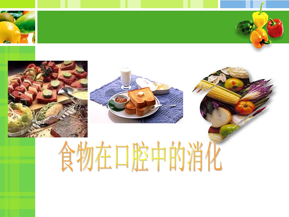 模拟牙齿咀嚼在食物消化.ppt_第1页