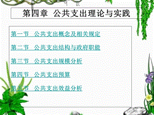 公共经济学第四章.ppt