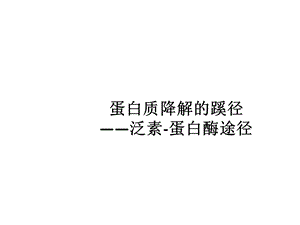 泛素蛋白酶体途径.ppt