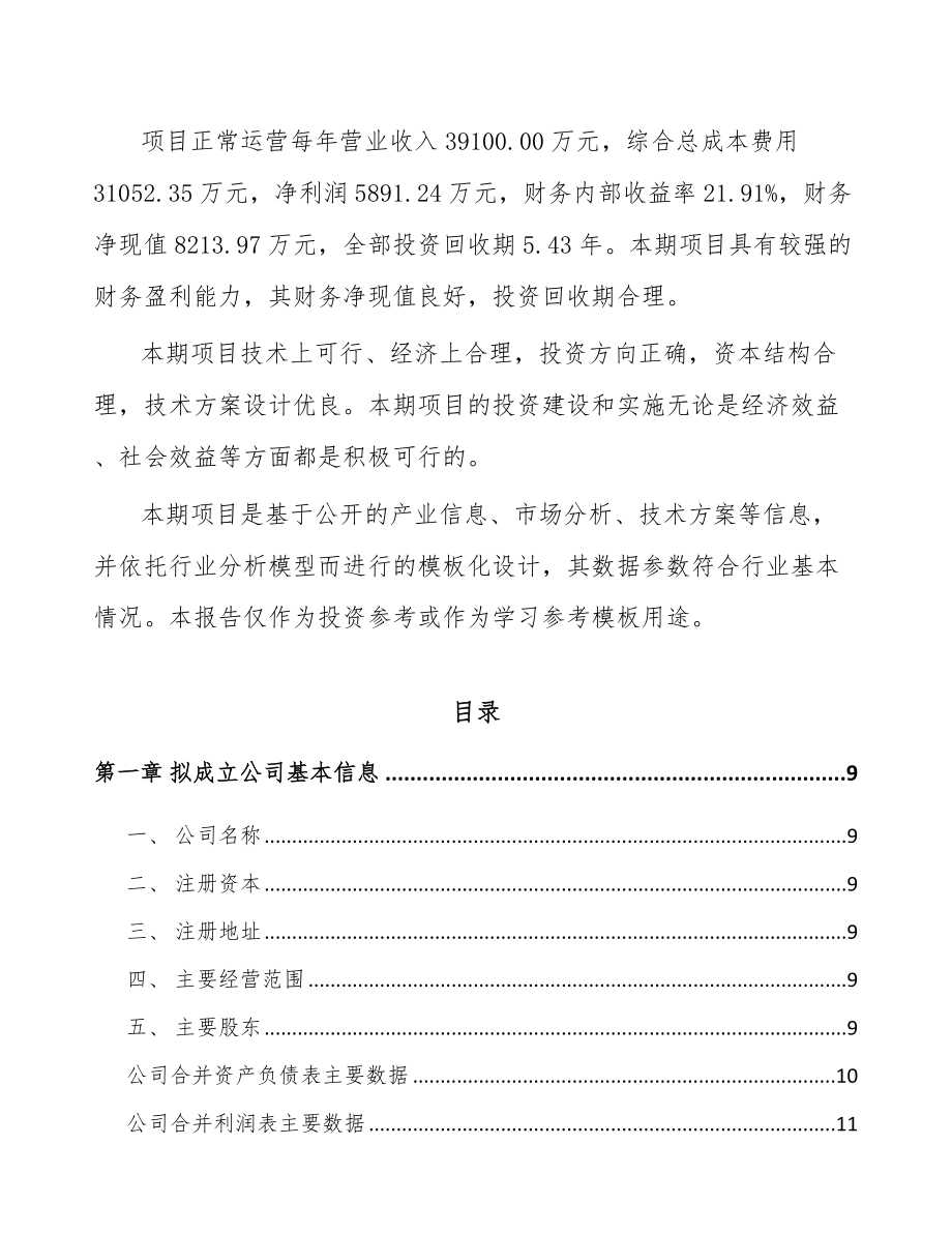 山东关于成立电踏车电机公司可行性研究报告.docx_第3页