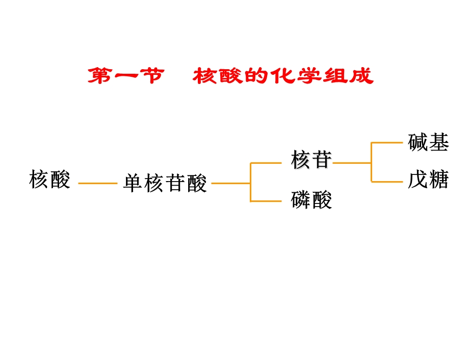 分子生物学核酸.ppt_第3页