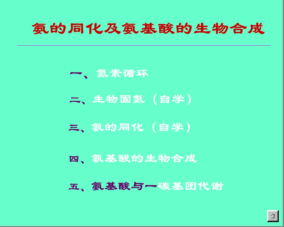 氨基酸生物合成.ppt_第2页