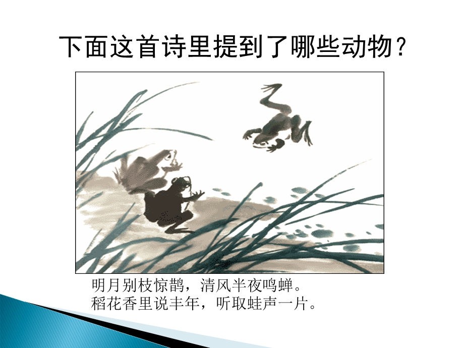 动物的生殖和发育第二课时.ppt_第1页