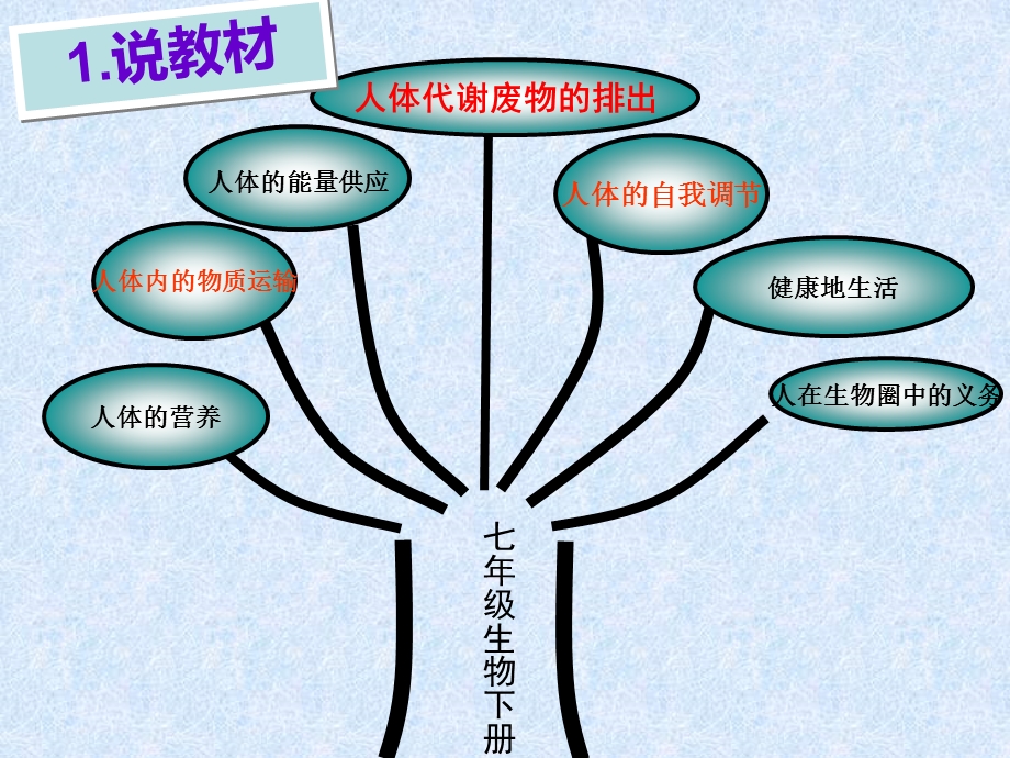 尿的形成与排出课后八说.ppt_第3页