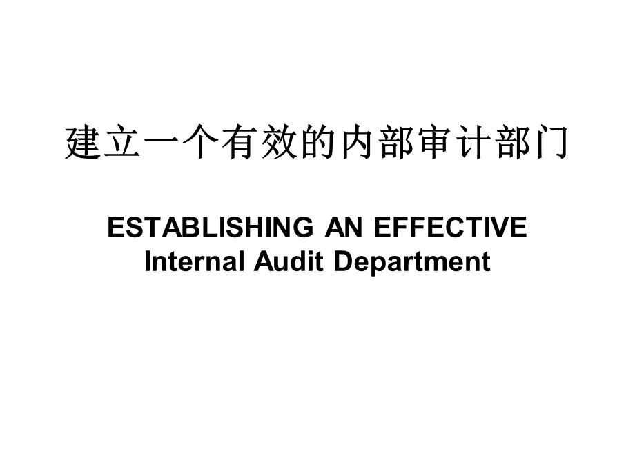 建立一个有效的内部审计部门.ppt_第1页