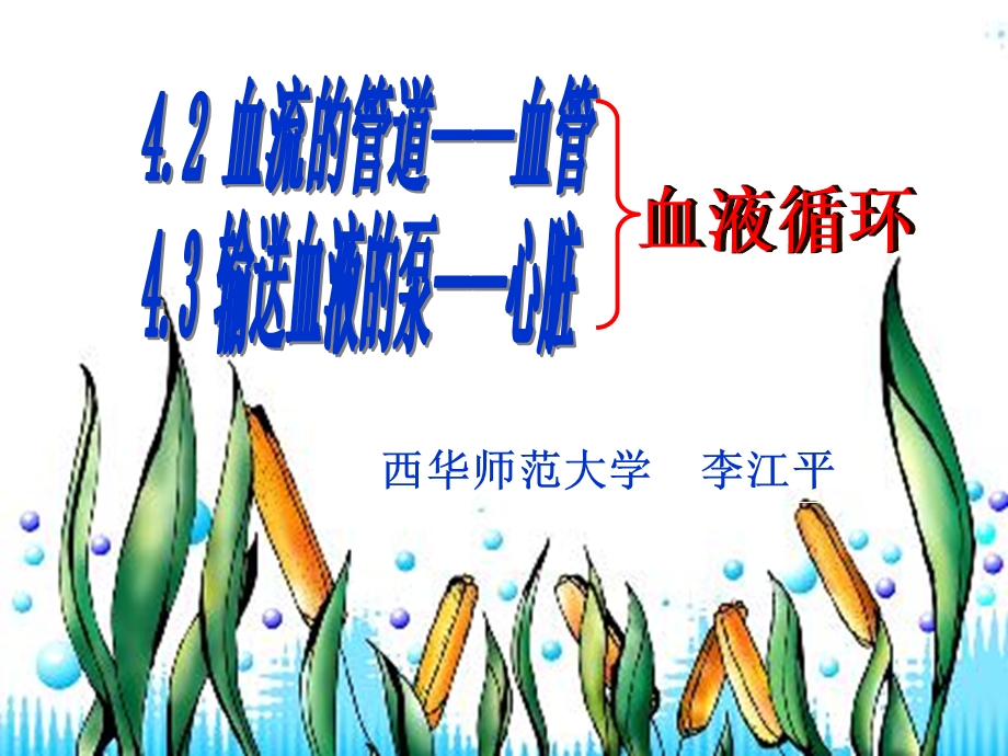 生物血液循环体循环和肺循环.ppt_第2页