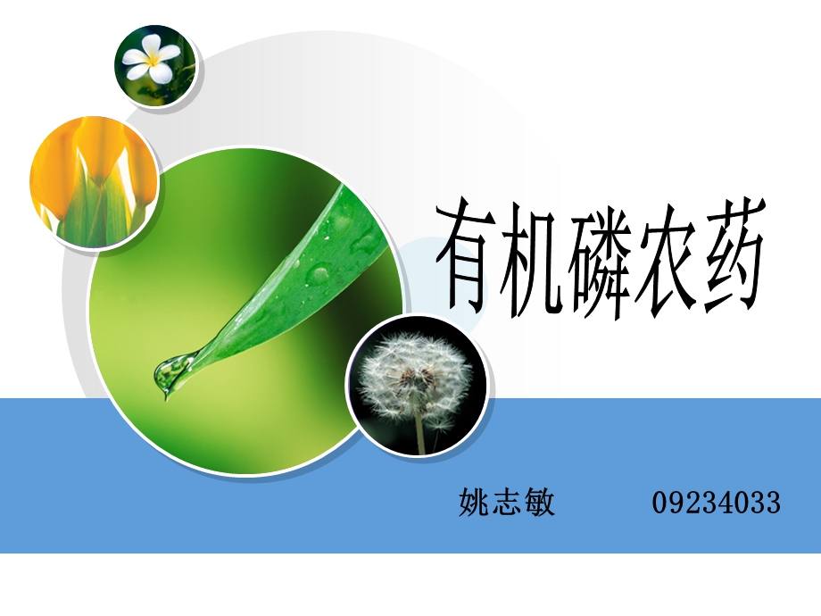 环境毒理学有机磷农药.ppt_第1页