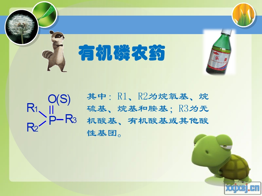 环境毒理学有机磷农药.ppt_第2页