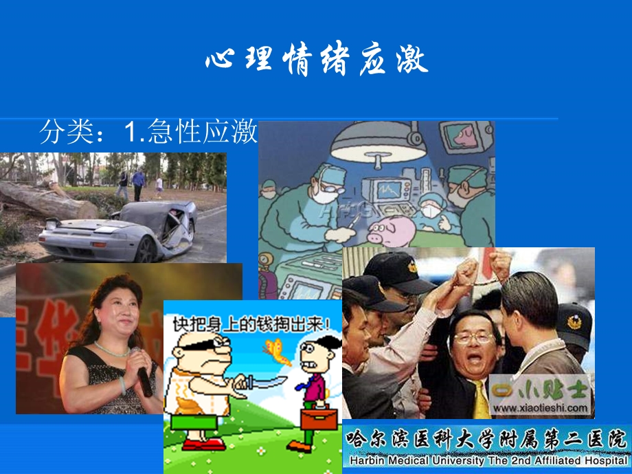 情绪应激与急性心血管疾病.ppt_第3页