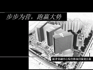 成都新津金融中心综合体项目策划方案(132P).ppt