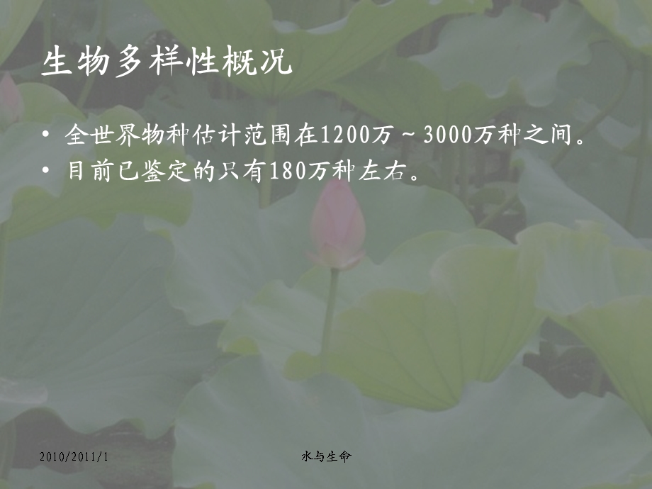 水生植物多样性.ppt_第3页