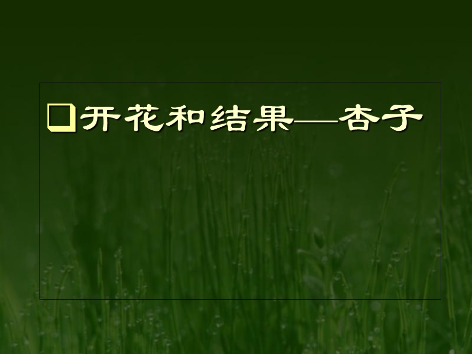 生物植物的生殖和发育.ppt_第1页