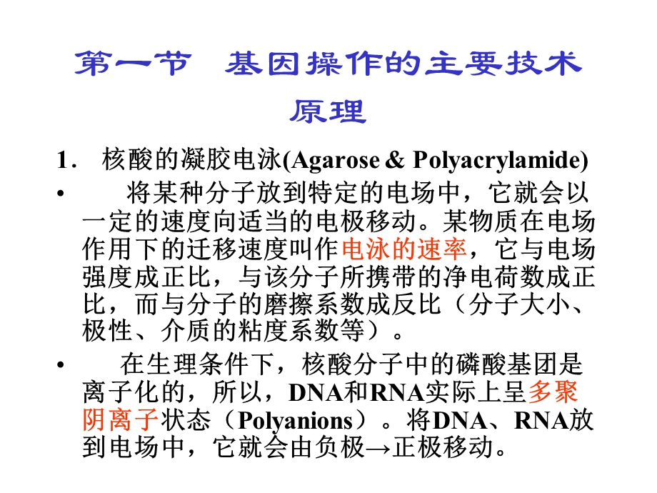 分子生物学研究方法朱玉贤.ppt_第2页