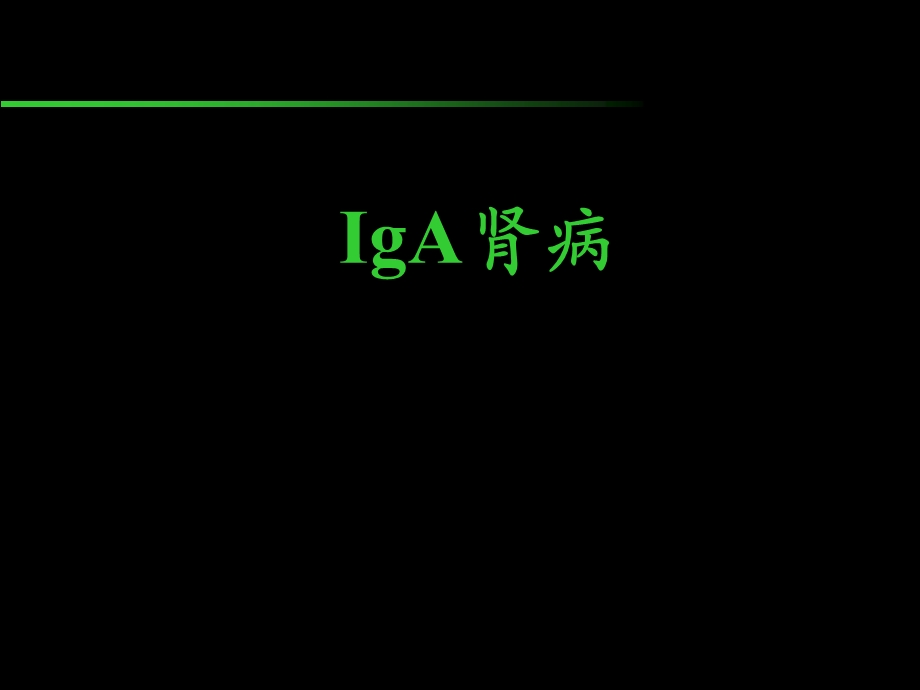 iga肾病 ppt课件.ppt_第1页