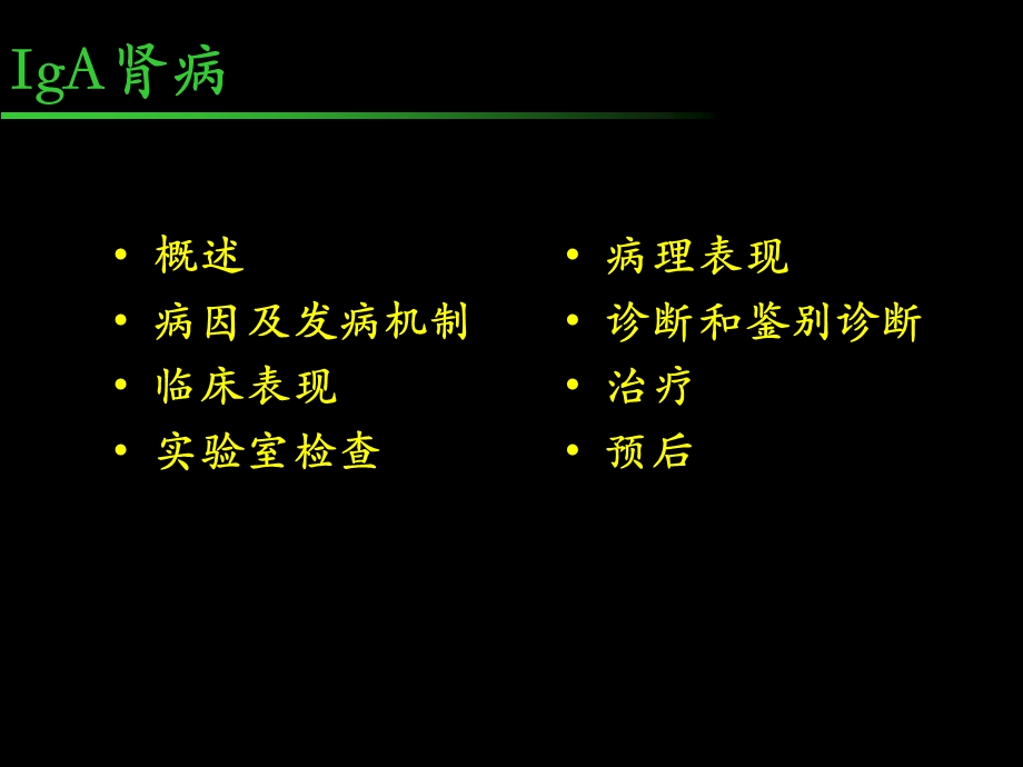 iga肾病 ppt课件.ppt_第2页