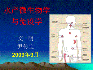 水产微生物学与免疫学免疫学基础.ppt