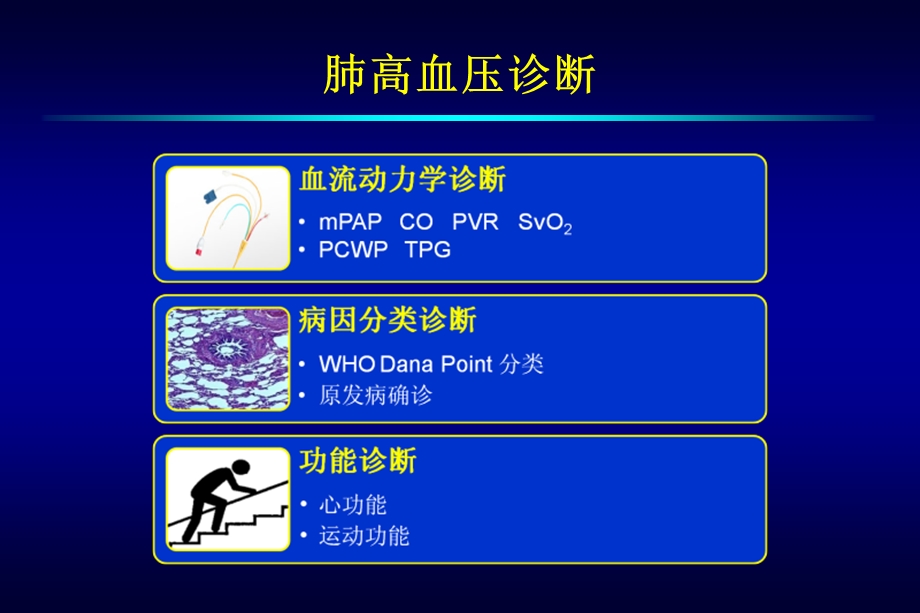 蒋鑫同济大学附属上海市肺科医院心肺血管中心0924.ppt_第2页