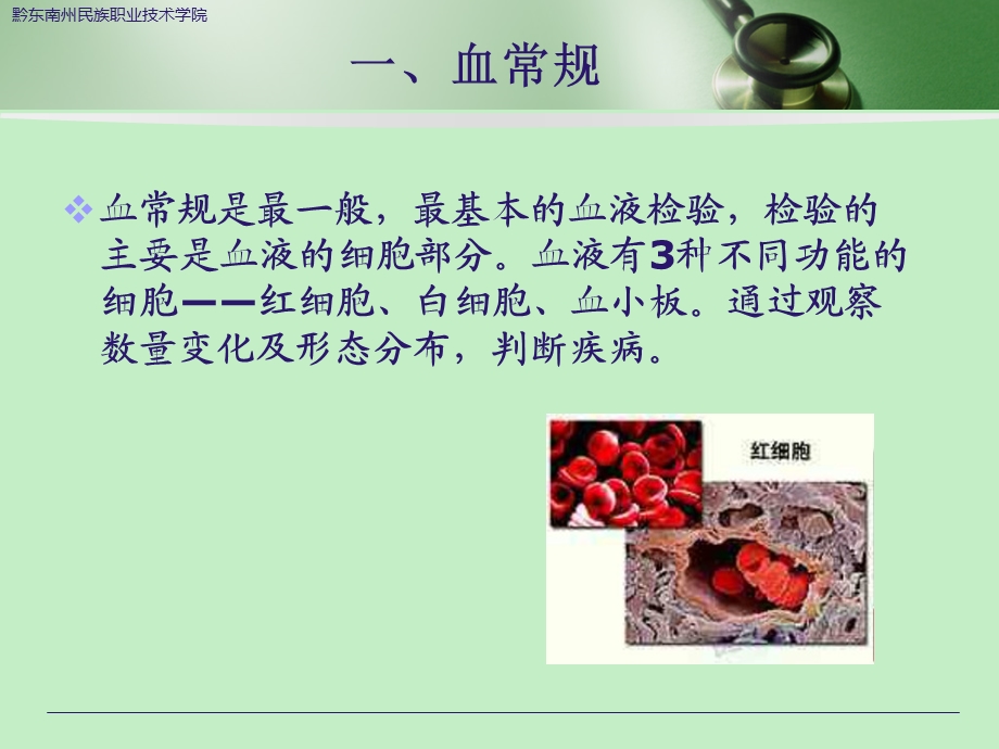 常规化验单阅读.ppt_第3页