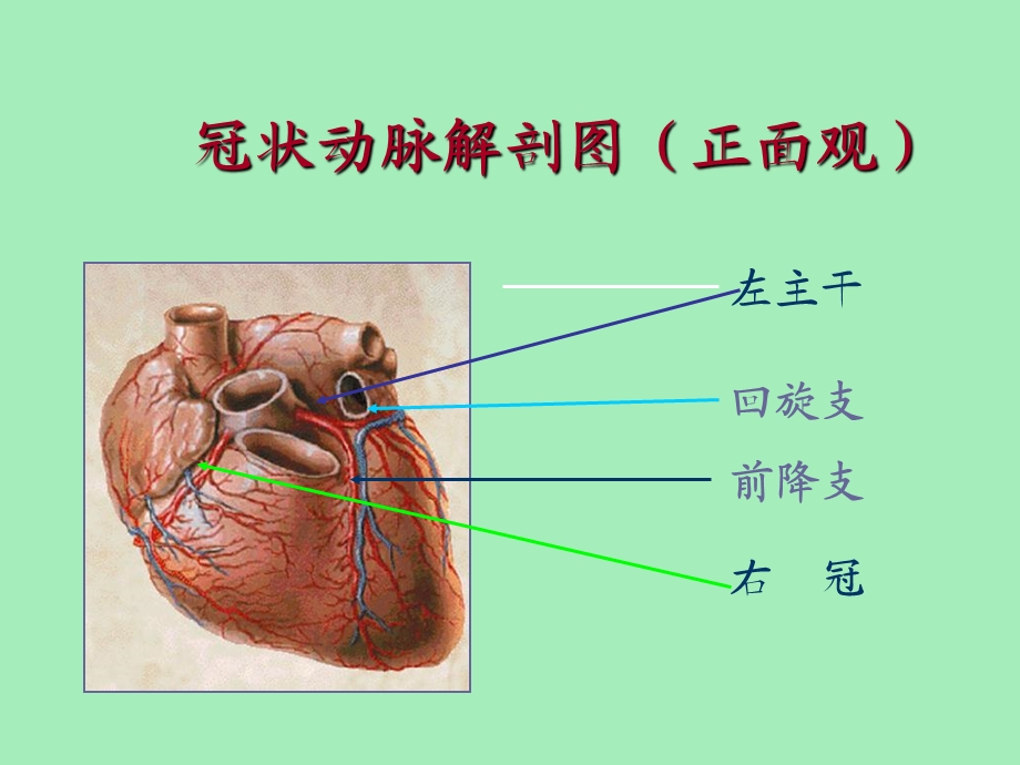 冠心病的危险因素与健康教育.ppt_第2页