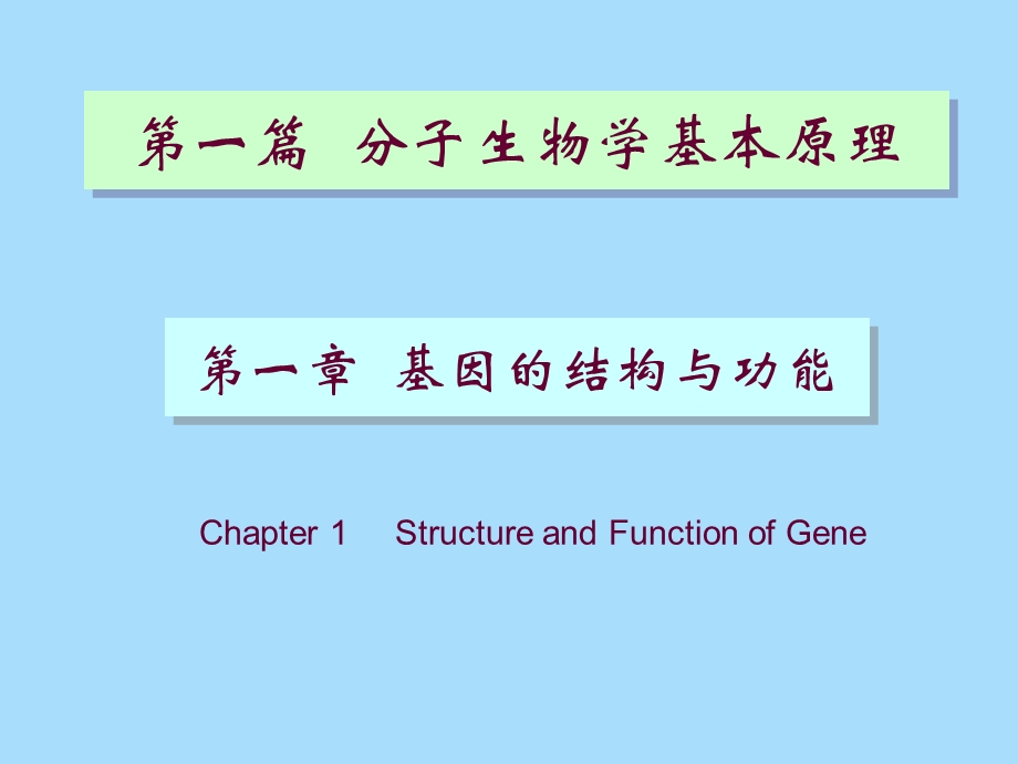 分子生物学-基因的结构和功能.ppt_第1页