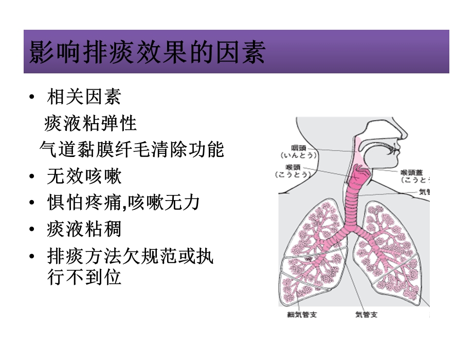 手法辅助咳痰和体位排痰.ppt_第3页