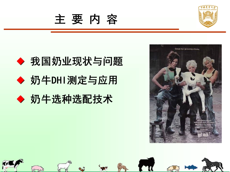 黑龙江农垦培训张胜利0113.ppt_第2页