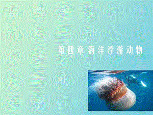 海洋浮游动物.ppt