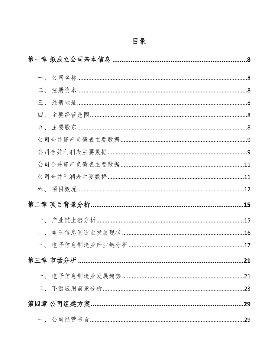 山东关于成立智能电子模组公司可行性研究报告.docx_第2页