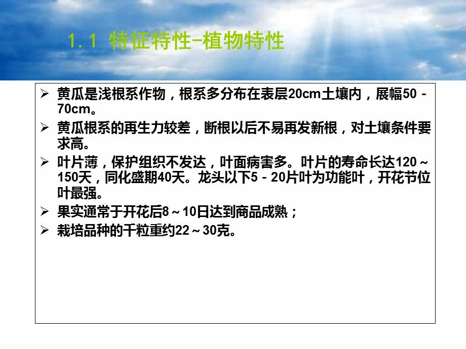 日光温室黄瓜育苗及嫁接技术.ppt_第3页