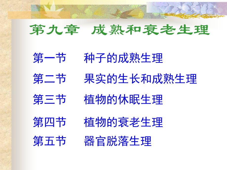 成熟和衰老生理.ppt_第1页