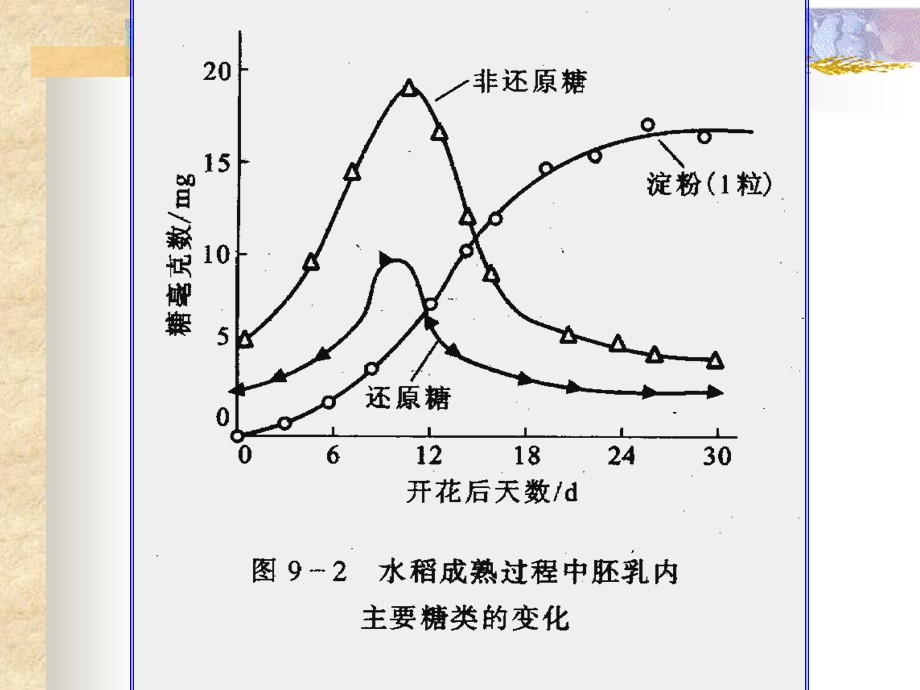 成熟和衰老生理.ppt_第3页