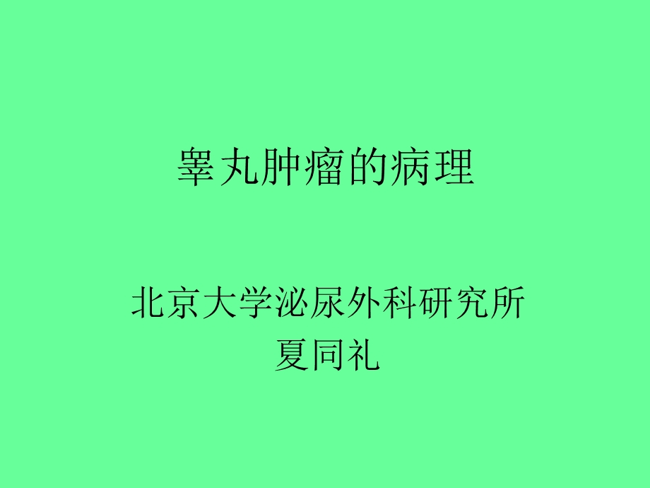 睾丸肿瘤的病理.ppt_第1页